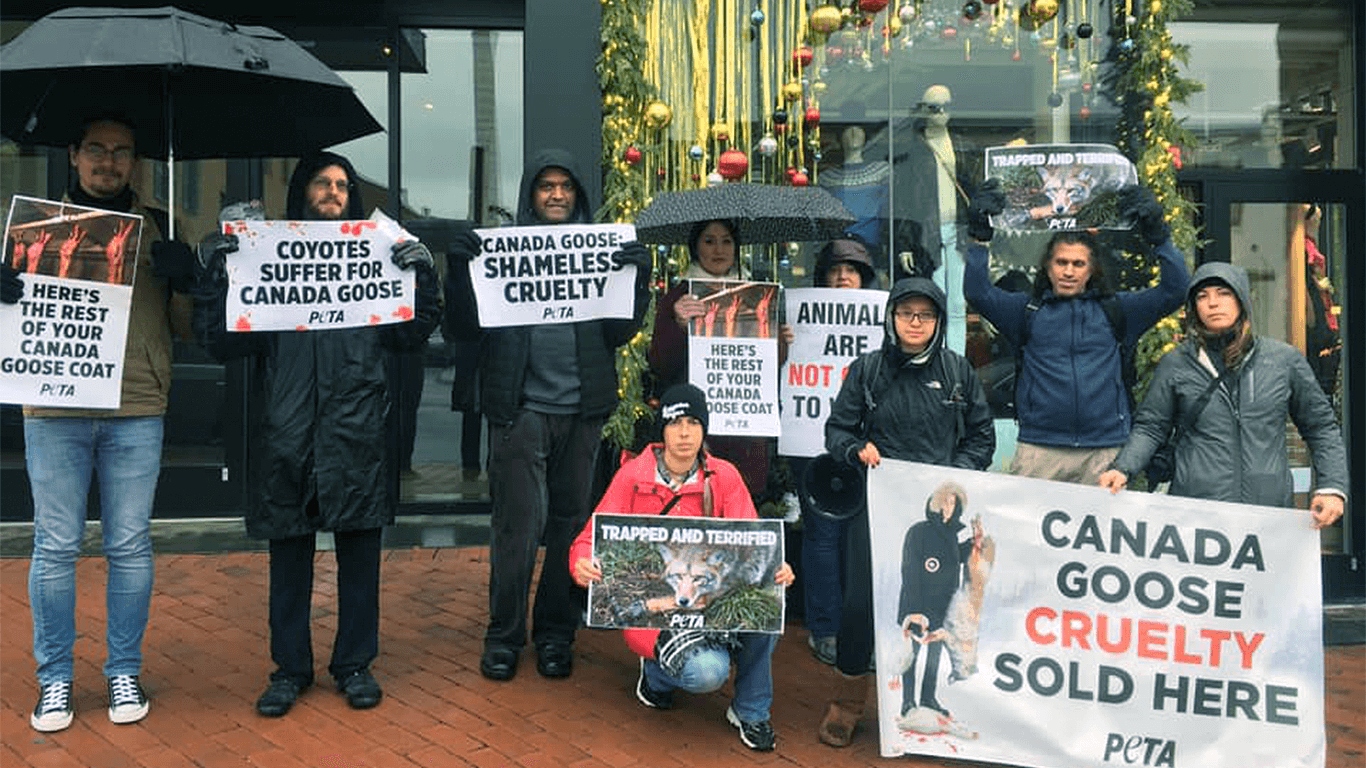 group photo of activists holding signs