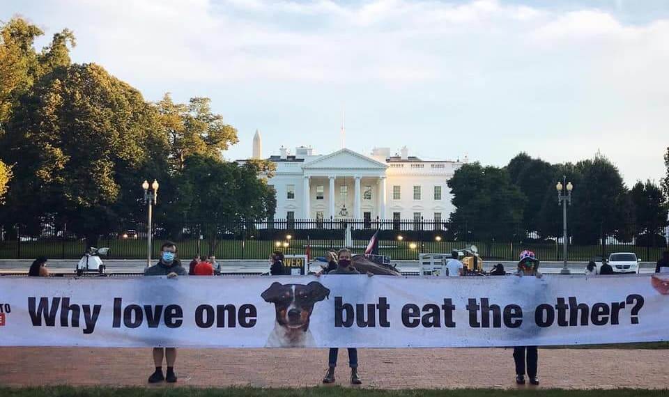 protest at the white house